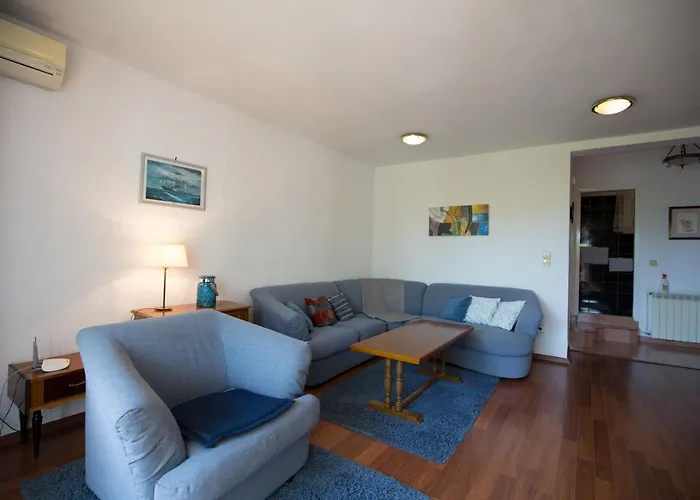 House Maca New Translation